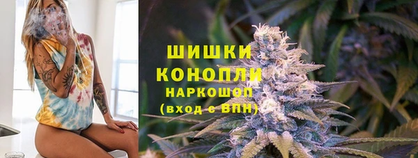 гидра Балахна