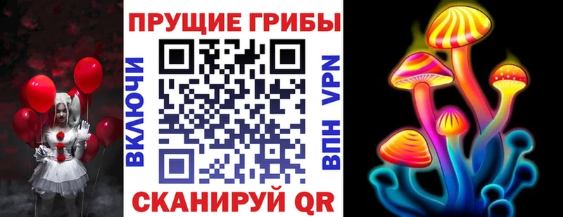купить закладку  Лермонтов  Псилоцибиновые грибы Cubensis 